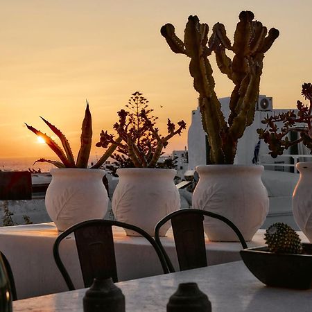Elaia Luxury Suites Mykonos Mykonos Town Exterior photo