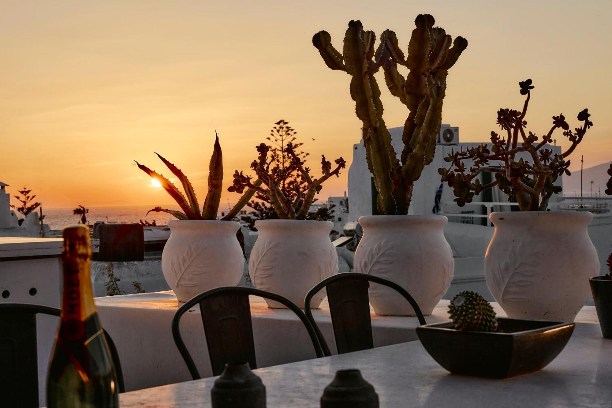 Elaia Luxury Suites Mykonos Mykonos Town Exterior photo